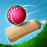 Cricket