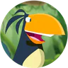 Acrossy