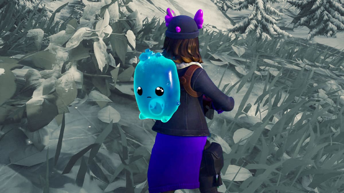 Fortnite player carrying a water sprite on the back