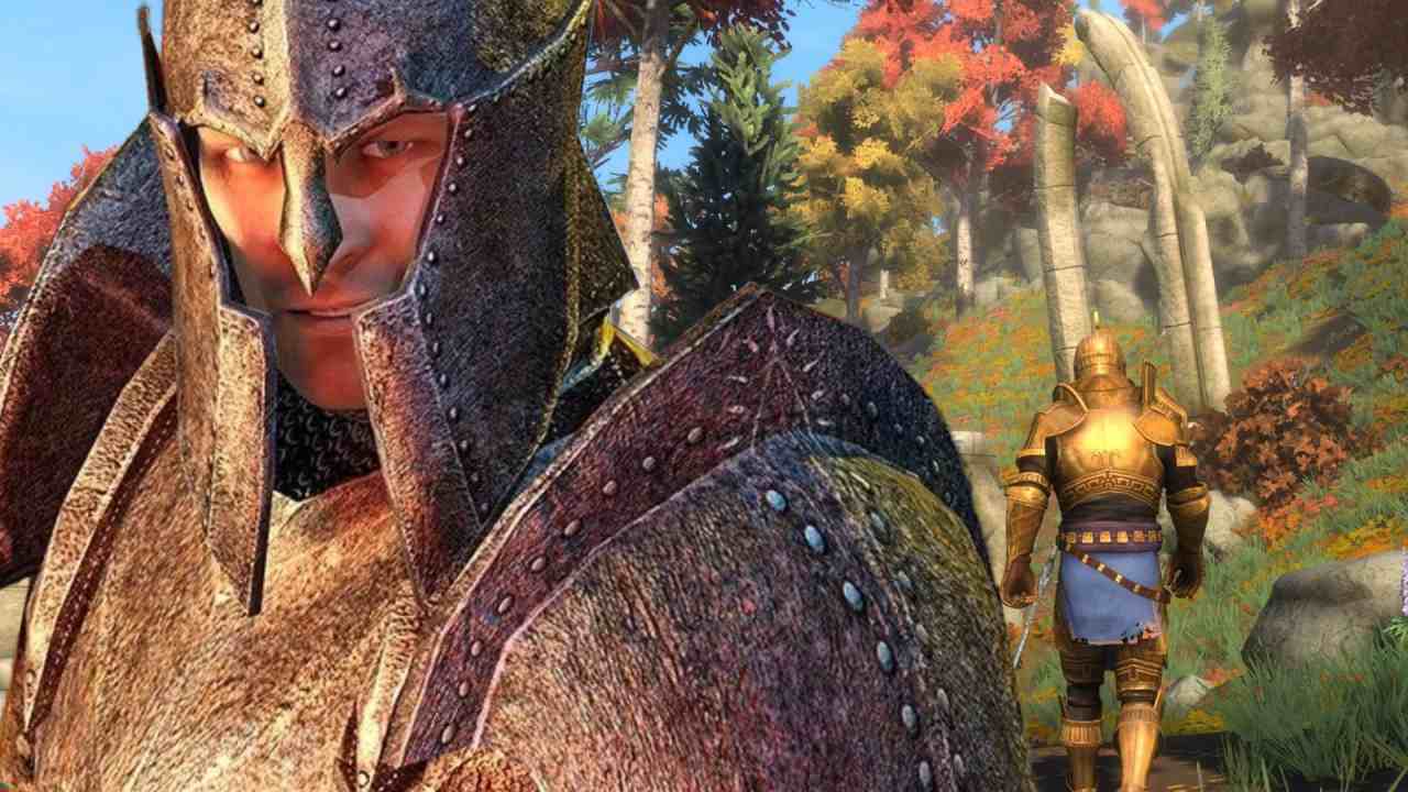 The Elder Scrolls IV: Oblivion hero of kvatch standing in front of skyblivion footage